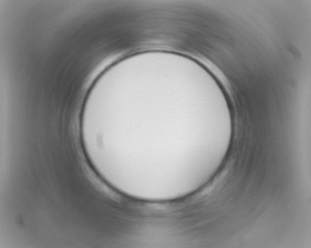 X0000115051341200911231145