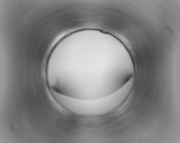 X0000115051342200911231145