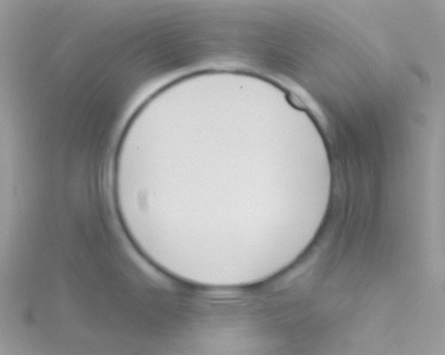 X0000115051343200911231145