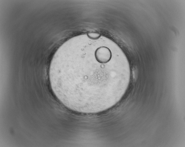 X0000115051347200911231145