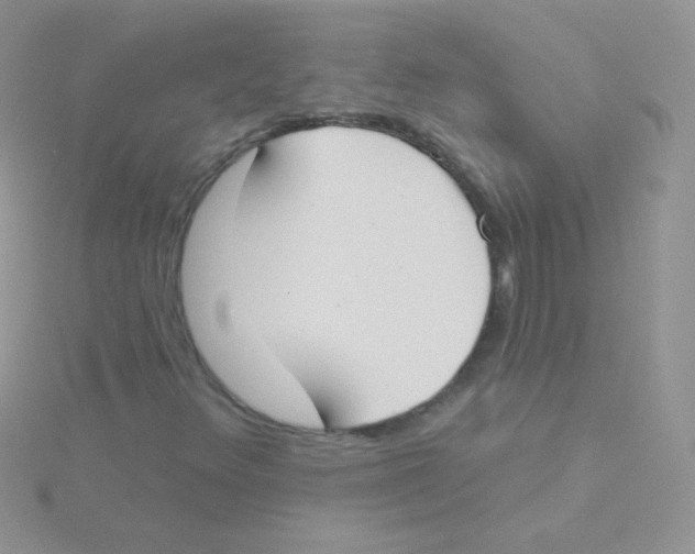 X0000115051348200911231145