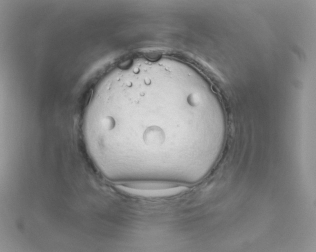 X0000115051351200911231145