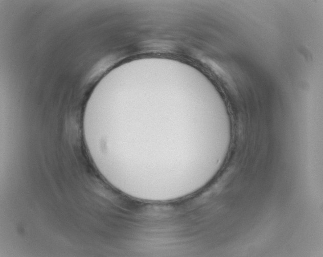 X0000115051354200911231144