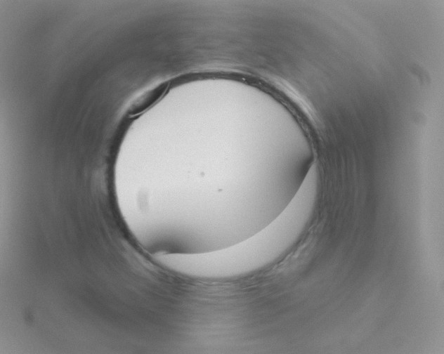 X0000115051356200911231144