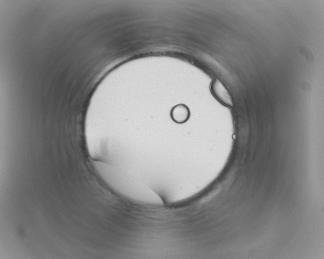 X0000115051361200911231144