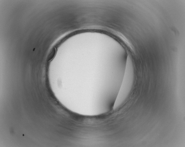 X0000115051364200911231144