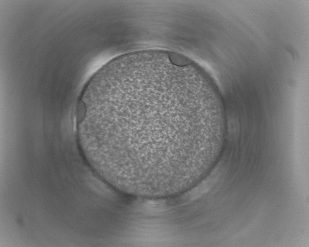 X0000115051365200911231144