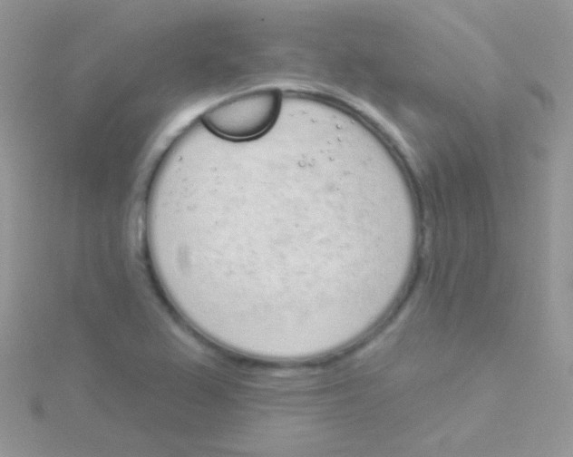 X0000115051367200911231144