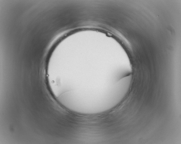 X0000115051368200911231144