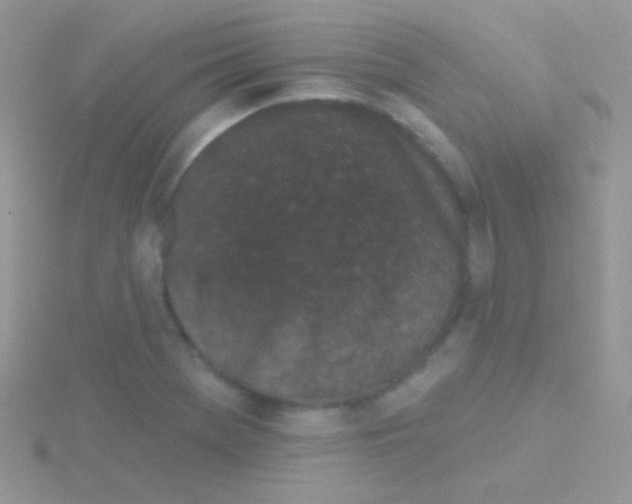 X0000115051369200911231144