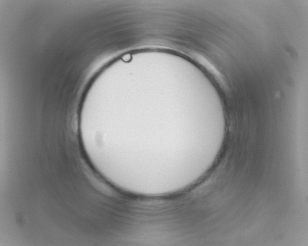 X0000115051372200911231144