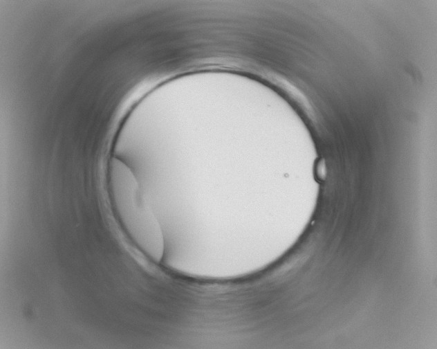 X0000115051373200911231144