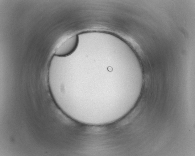 X0000115051374200911231144