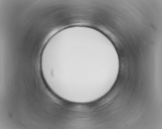 X0000115051375200911231144