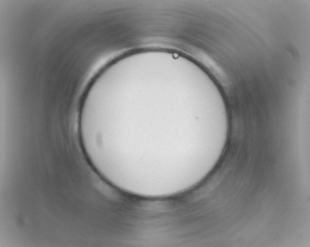 X0000115051376200911231144