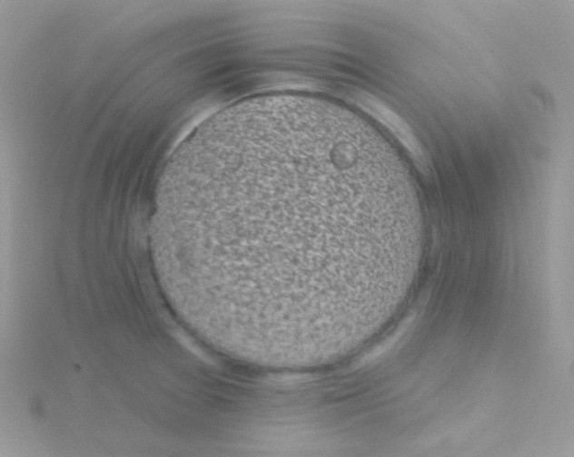 X0000115051377200911231144