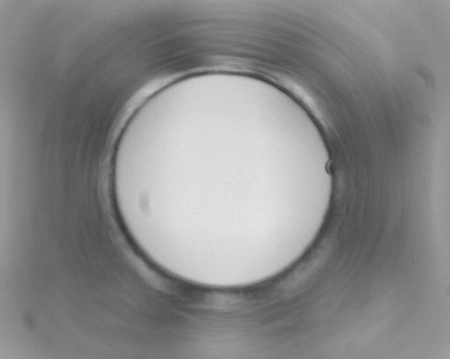 X0000115051379200911231144