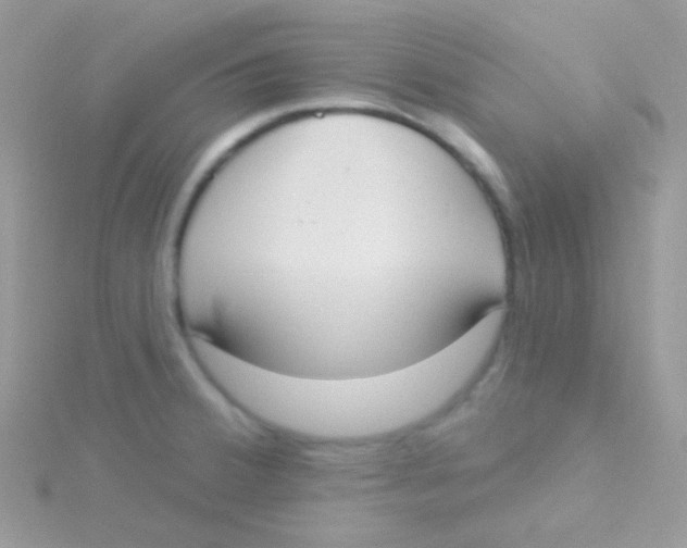 X0000115051380200911231144