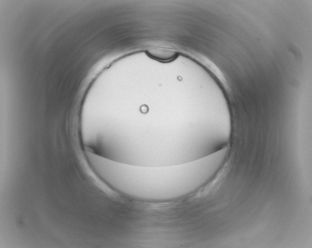 X0000115051381200911231144