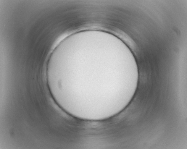 X0000115051382200911231144