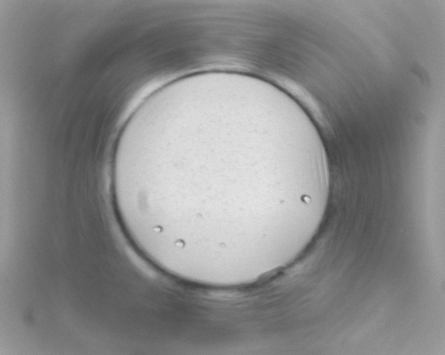 X0000115051383200911231144