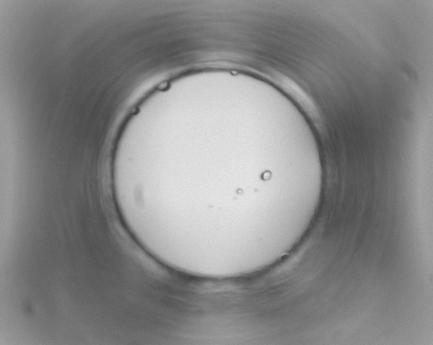 X0000115051384200911231144