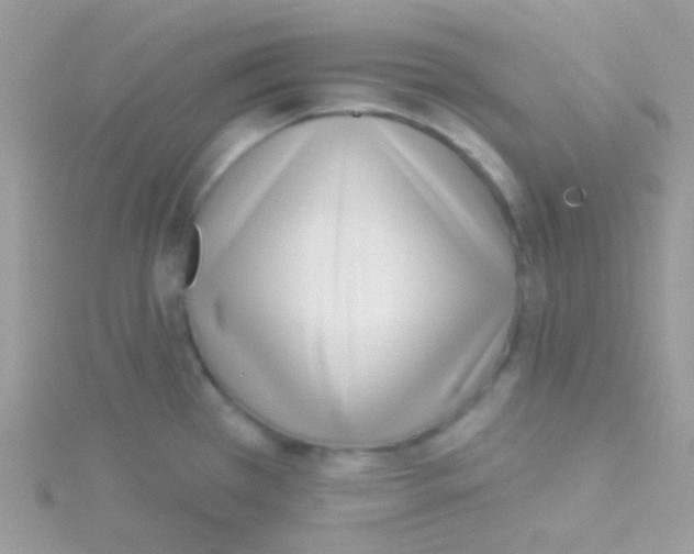 X0000115051385200911231144