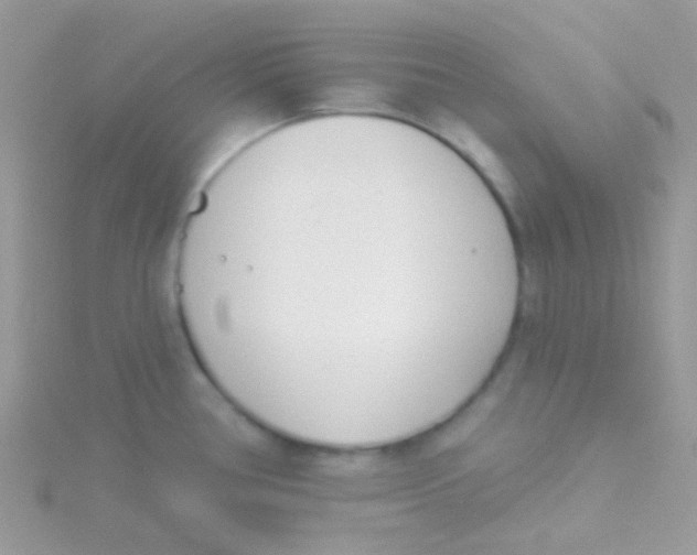 X0000115051386200911231144