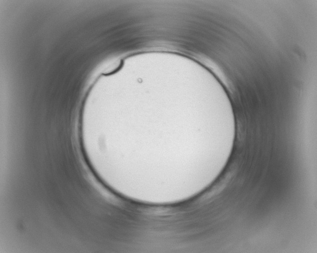 X0000115051387200911231144