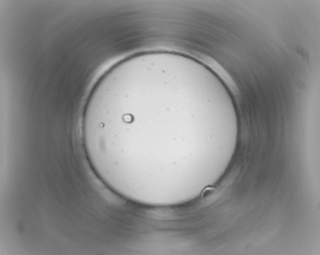 X0000115051388200911231144