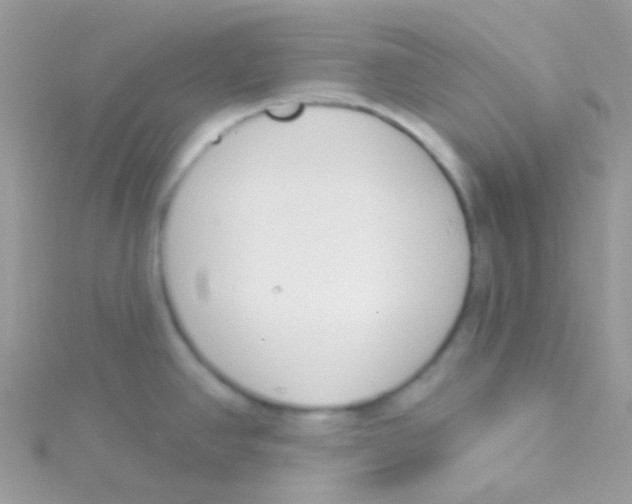 X0000115051390200911231144