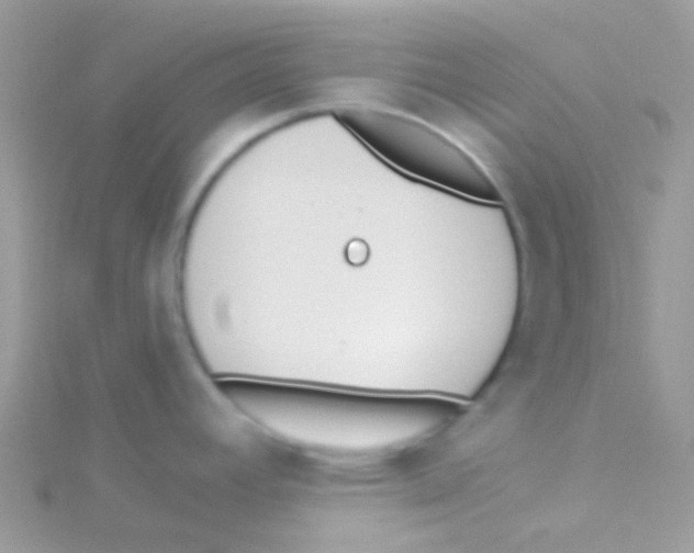 X0000115051392200911231144