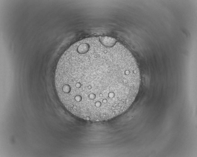 X0000115051393200911231143