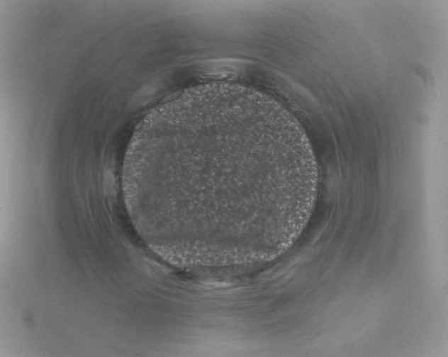 X0000115051394200911231143