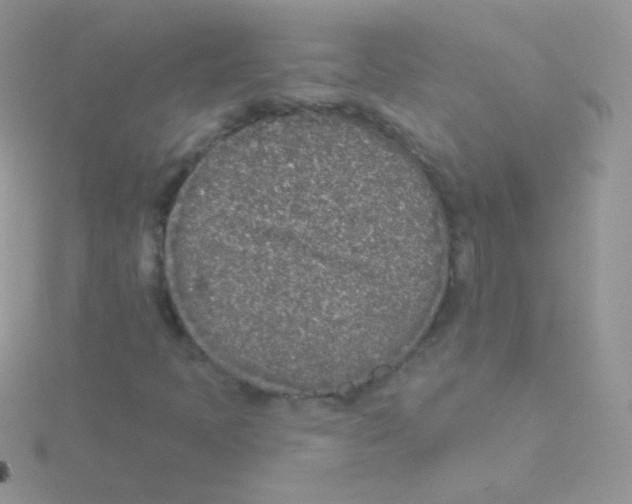 X0000115051397200911231143