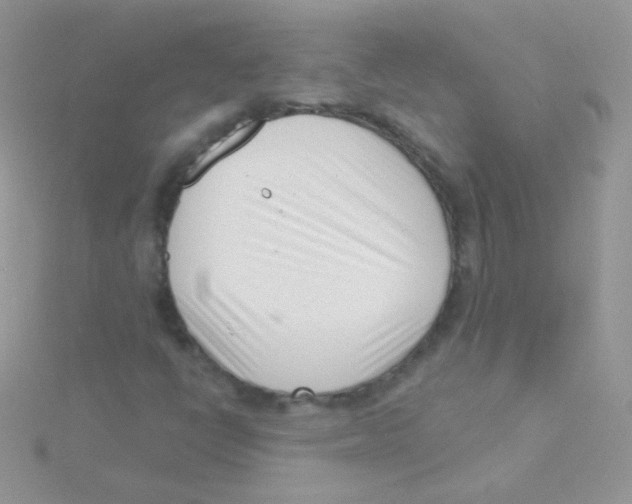 X0000115051398200911231143