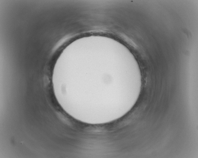 X0000115051400200911231143