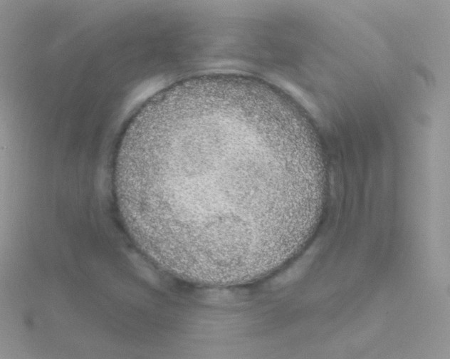 X0000115051405200911231143