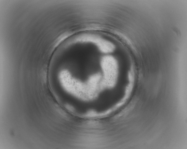 X0000115051409200911231143