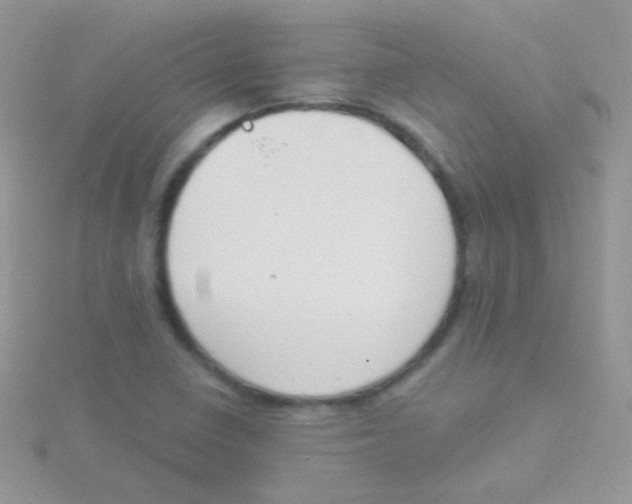 X0000115051410200911231143