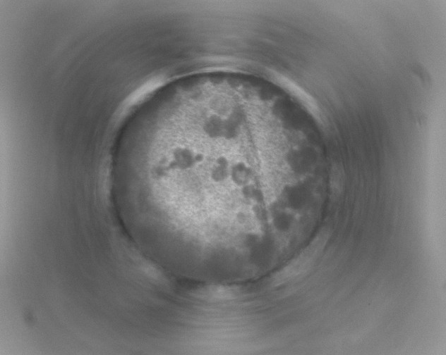 X0000115051411200911231143