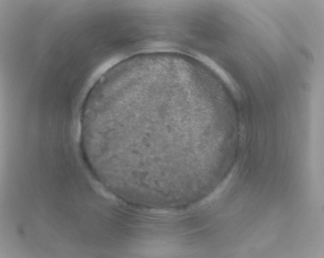 X0000115051413200911231143