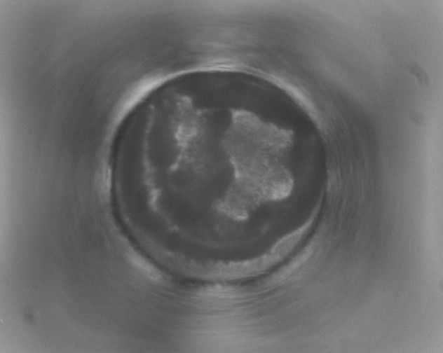 X0000115051414200911231143