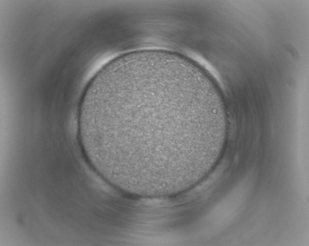 X0000115051415200911231143