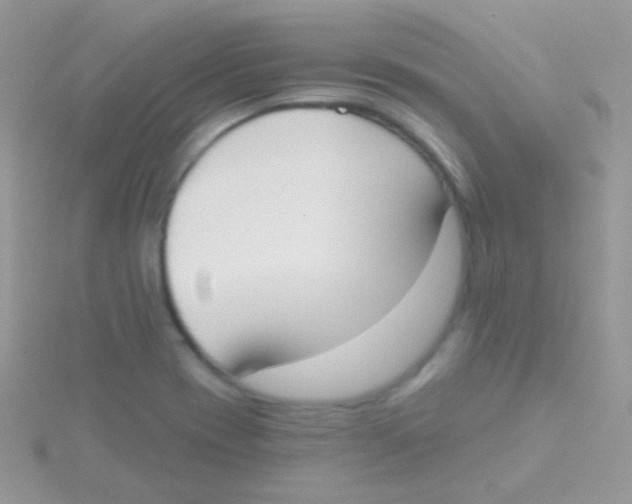 X0000115051417200911231144