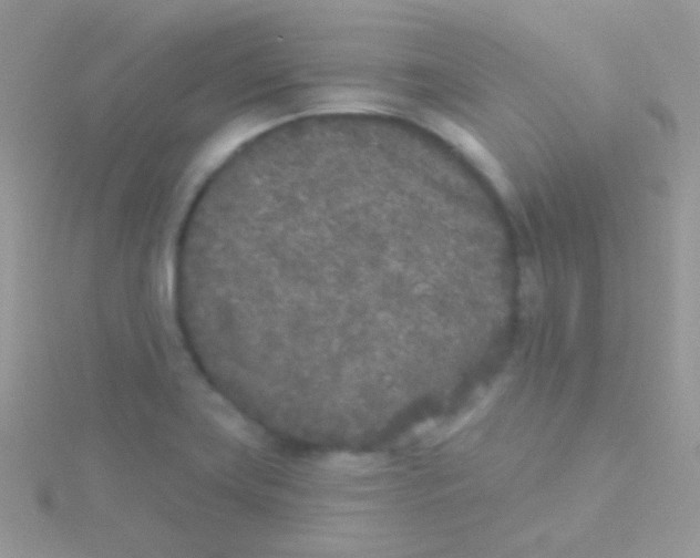 X0000115051419200911231144