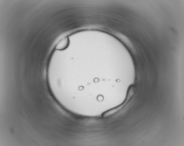 X0000115051420200911231144