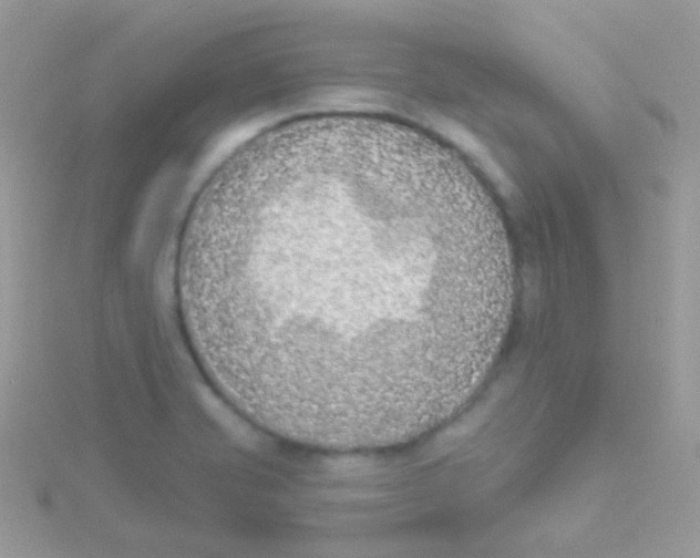 X0000115051421200911231144