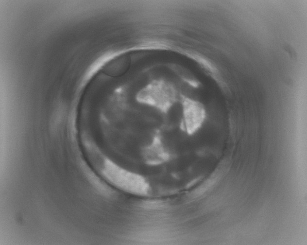 X0000115051422200911231144