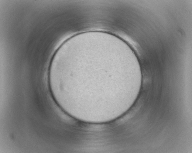 X0000115051423200911231144